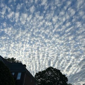 Meet your Posher, Whitney